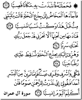 Quran (Surah Maryam, Verses 22-26).