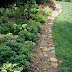 Garden Edging Ideas Pictures