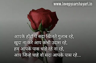 Rose day shayari hindi images