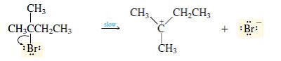 mekanisme reaksi E1 tahap 1