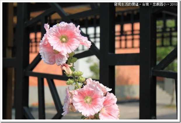 JohnGyi_elementary_school13