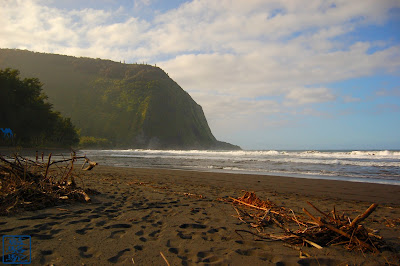 Le Chameau Bleu - Blog Voyage et Cuisine - Photos de voyage Hawaii Iles 