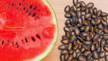 Maintenance Watermelon Seed