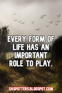 Every form of life has an important role to play.