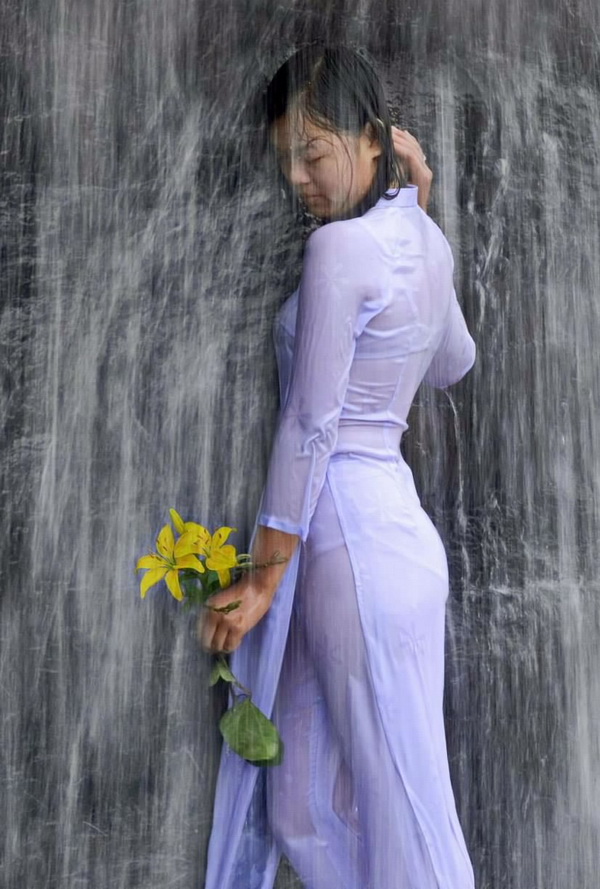 Thiếu nữ áo dài trắng ướt mưa cầm hoa vàng