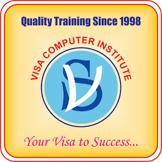 VISA COMP INST