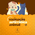 Prefeitura inicia a Campanha de Vacinação Antirrábica para cães e gatos em Cruz das Almas