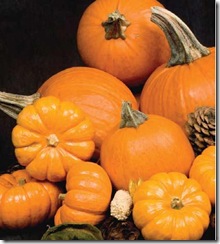 pumpkins