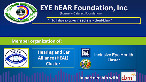 Member organizations of NCSP, HEAL Philippines Cluster, Inclusive Eye Health Cluster in Region 8 with DoH and in partnership with CBM
