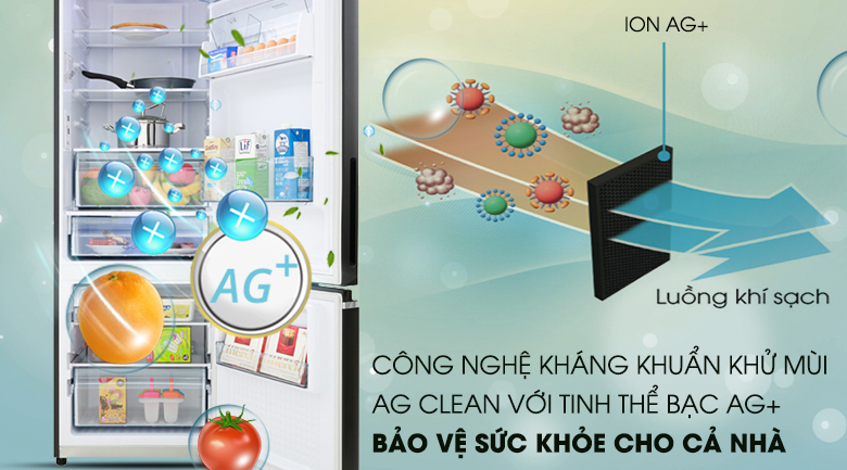 Khử mùi Ag Clean với tinh thể bạc Ag+ - Tủ lạnh Panasonic Inverter 322 lít NR-BV360GKVN