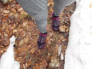 Chaussures de trail, randonnée, sol, feuilles mortes, neige, Montagne noire