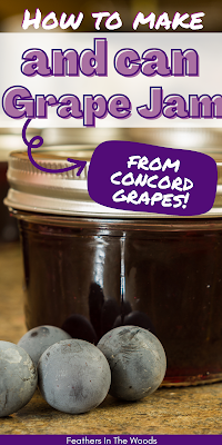 Homemade grape jam and concord grapes