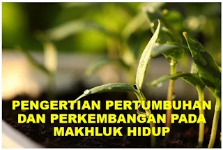 pertumbuhan, perkembangan, makhluk hidup