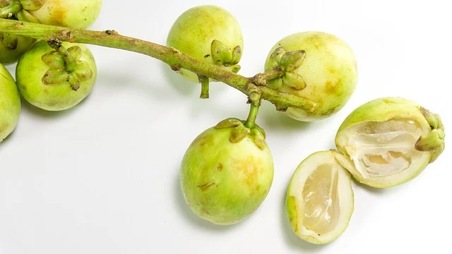 Asian Fruit langsat