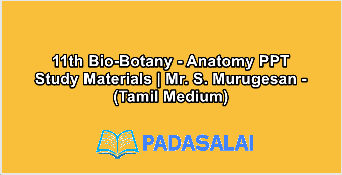 11th Bio-Botany - Anatomy PPT Study Materials | Mr. S. Murugesan - (Tamil Medium)