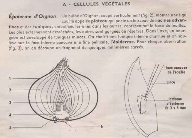 Télécharger |  Ancien manuel des  Sciences naturelles ( en français )  svt