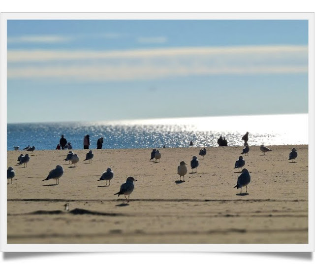 Walk In New York - Brooklyn - Coney Island Beach