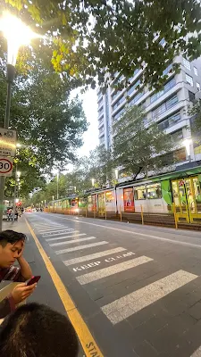 Puisi tentang Zebra Cross di jalanan Melbourne