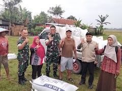 Dandim 0701/Banyumas Dampingi Serapan Gabah Petani ke Bulog