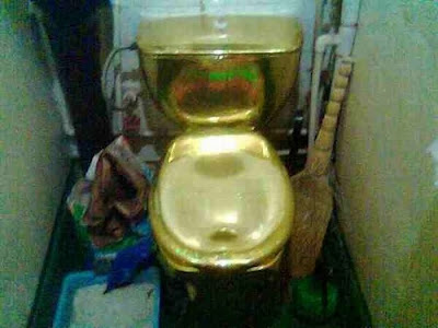 unusual toilets