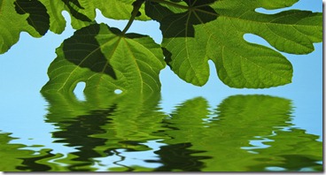 5702reflection
