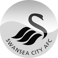 Swansea City