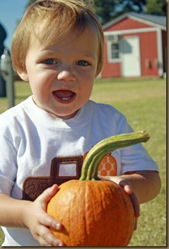 Pumpkins 0442