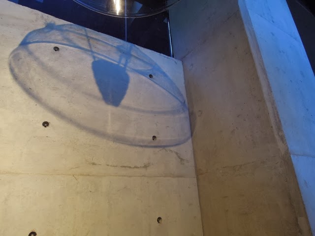 DSCN8218