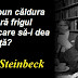 Gândul zilei: 20 noiembrie - John Steinbeck