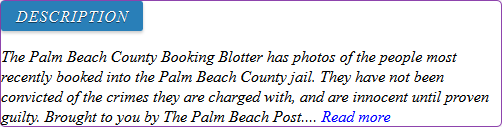 palm beach booking blotter