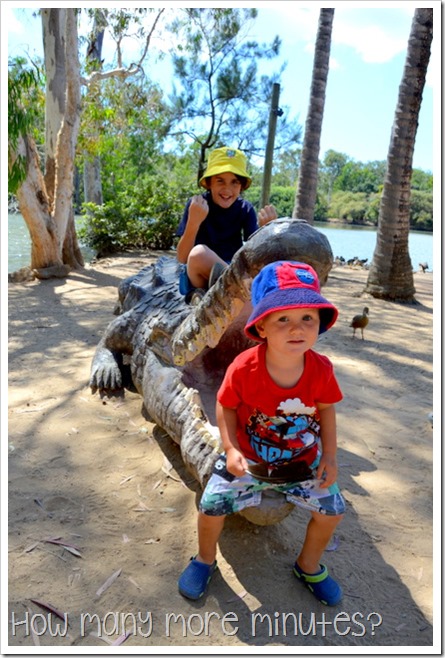 Billabong Sanctuary | How Many More Minutes?