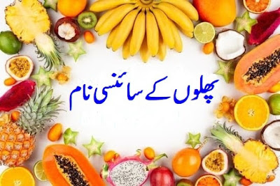 پھلوں کے سائنسی نام Fruits scientific name in urdu