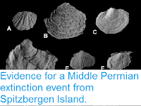 http://sciencythoughts.blogspot.co.uk/2015/12/evidence-for-middle-permian-extinction.html