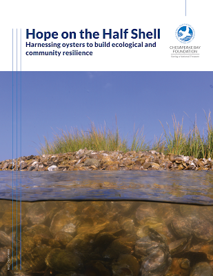 Cover of the Chesapeake Bay Foundation report Hope on the Half Shell - Harnessing oysters to build ecological and community resilience