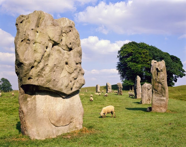 Avebury stone circles, Wiltshire. Avebury is the largest 'henge' or stone circle in Britain.The standing stones of the Avebury circles, which range from 0.5 m. to 6 m. in height and number over 150 in total, are pale grey, silica-cemented sandstones of Tertiary age commonly known as sarsen stones. The source of the sarsen stone used in the megalithic site at Avebury is believed to be the Marlborough Downs. The stones were formed by the cementation of loose sands in the remnants of the Tertiary succession that once covered the downs. Some of the stones were revealed by weathering but others were probably dug from the succession and transported to Avebury. Sarsen stones are widely used in southern Britain at prehistoric sites including Avebury, Long Kennet and Stonehenge. Although best known as standing stones the sandstones were once extensively quarried on the Marlborough Downs for building stone. However, many standing stones are also believed to have been removed from the prehistoric structures for building purposes in earlier times.