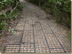 DSCN0581