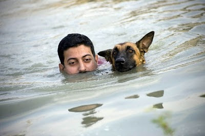 Canine Commandos dogs