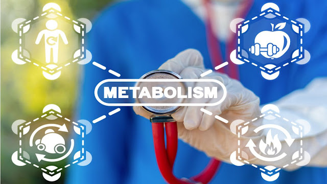 The Best Way To Boost The Body's Metabolism