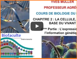 Biologie moléculaire cours