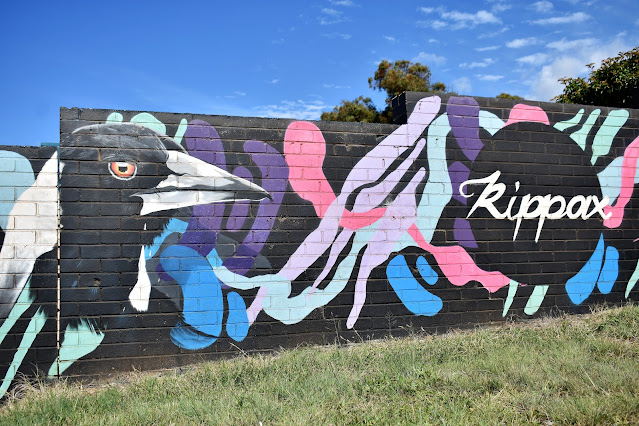 Canberra Street Art | Holt mural by Smalls