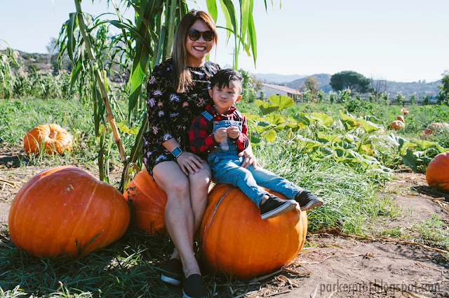 Bates Nut Farm, San Diego family, pumpkin patch, San Diego, fall