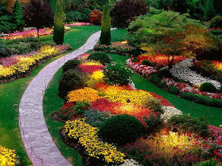 Garden Colors wallpapers