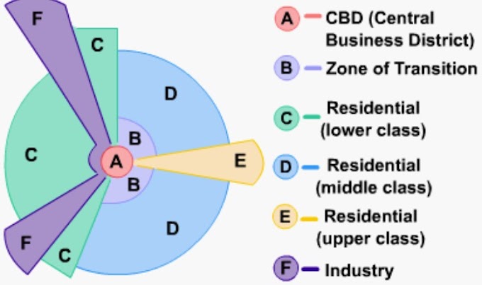 Sector Theory