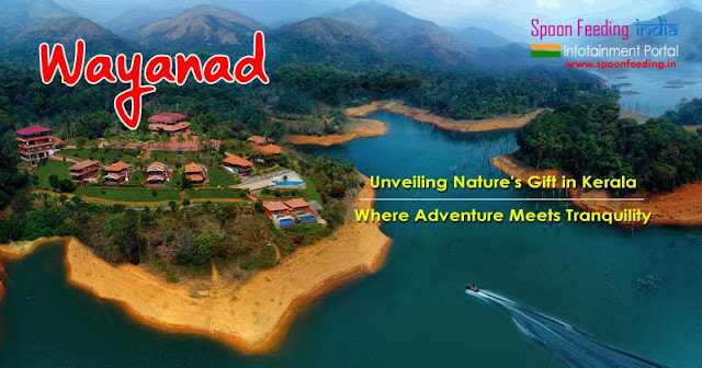Wayanad Tour: Discover Nature's Beauty and Cultural Charm in Kerala
