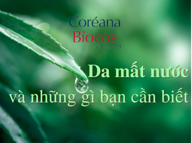 Tất cả những gì bạn cần biết về làn da mất nước