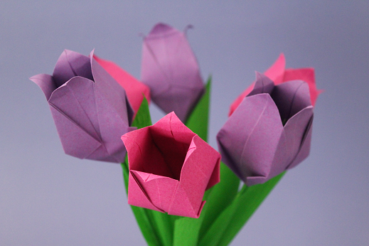 DIY-Basteltipp für Tulpen aus Papier von Ars Vera