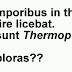 Thermopolia