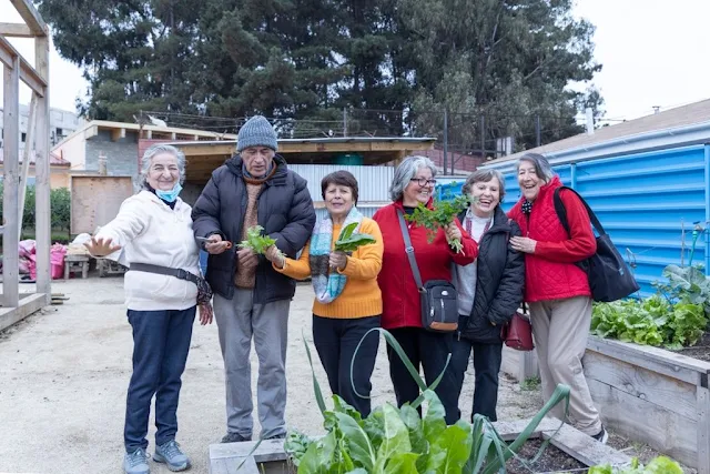 Extienden plazo de Fondo Concursable para Organizaciones Sociales