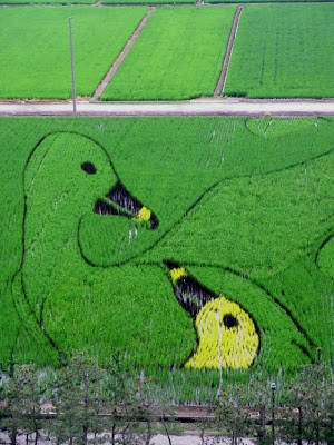 Japanese Rice Paddy Art 2010