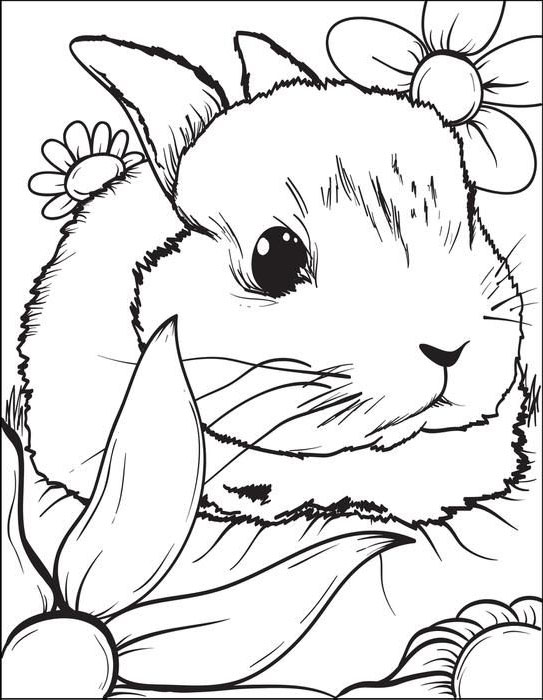 animals coloring page